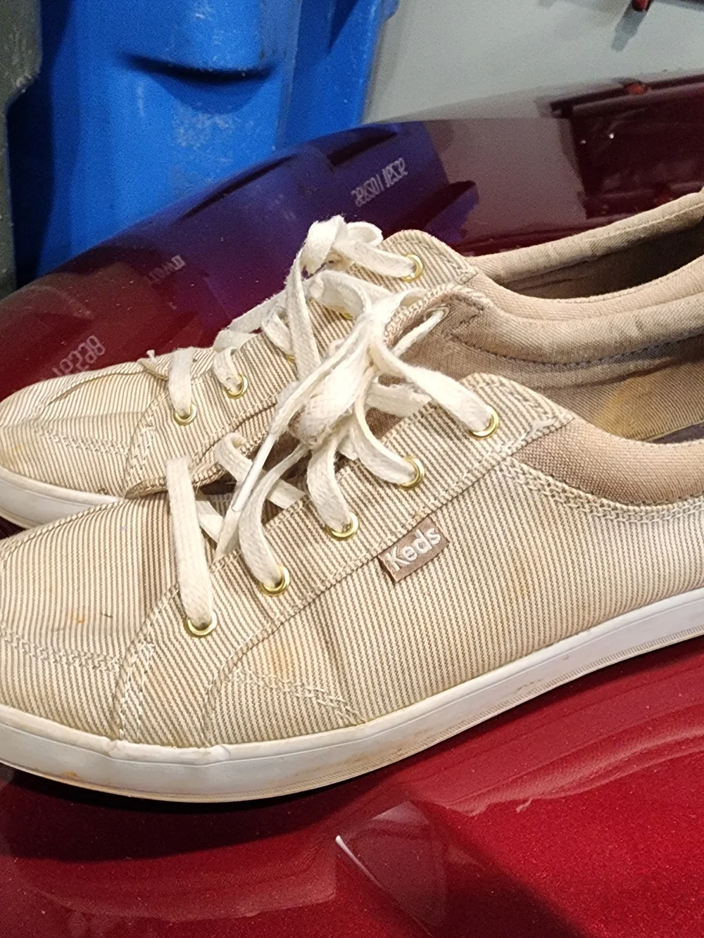 Keds Bundle 10
